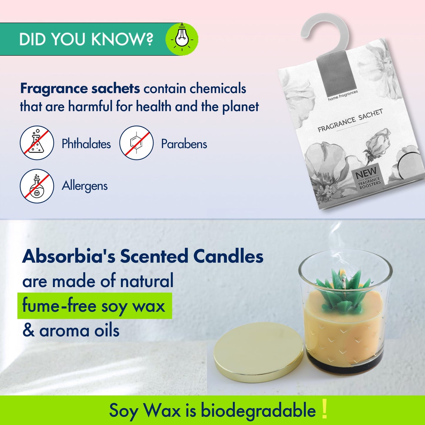 Absorbia pineapple scented candle - home decoration