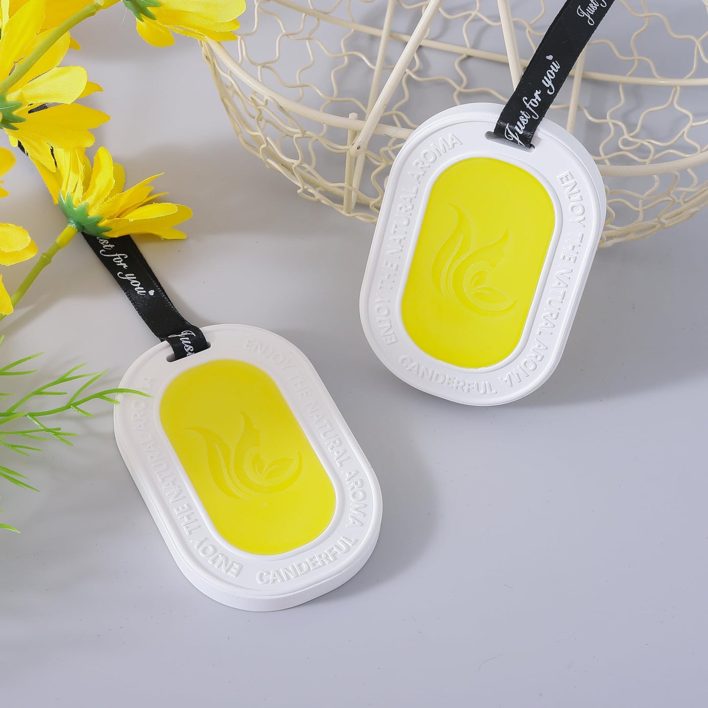 Absorbia wax air freshener - freshen up shoes