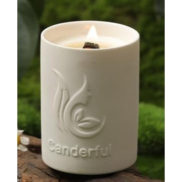 ABSORBIA Nature-Inspired Scented Candle for a Refreshing Ambiance with Fragrance of Green Branch Magnolia,6% Perfume Concentrates, Essential Oil and Soybean Wax, 180g, 36-Hour Burn Time, Ceramic Cup