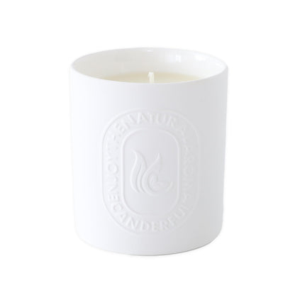 ABSORBIA Green Mountains & Water Tranquility: Scented Candle with 5% Perfume Concentrates, Essential Oil & Soybean Wax, 150g, 30-Hour Burn Time, Ceramic Cup (7x8cm), Packaged in EPE Foam and Brown Box