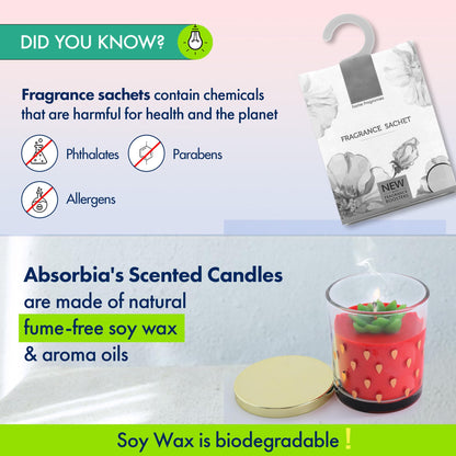 ABSORBIA Strawberry Fields Forever Scented Soybean Candle - 260g, 5% Perfume Concentrate, 52-Hour Burn Time