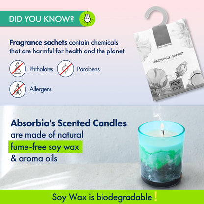 ABSORBIA Scented Candle - Green Mountains and Waters Fragrance, 5% Perfume Concentrates,150g,30-Hour Burn Time, Melamine Cup, Soy Wax - Elevate Your Space with Aromatherapy