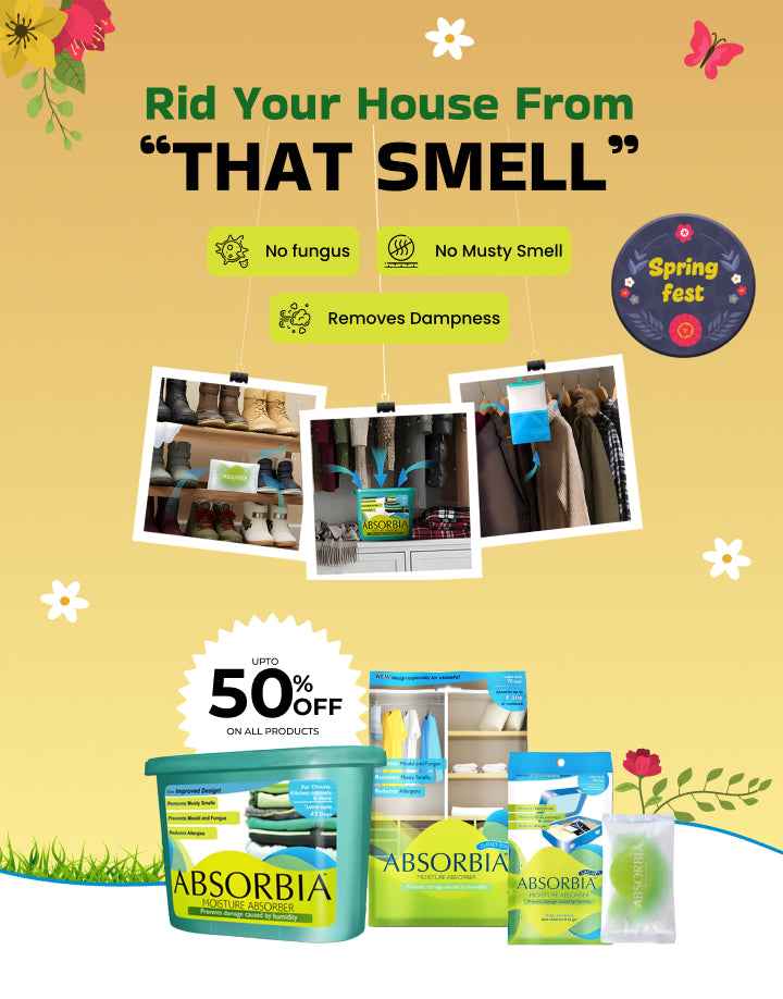 responsive image mobile